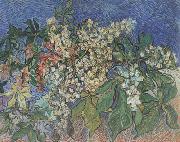 Vincent Van Gogh Blossoming Chestnut Branches (nn04) oil painting reproduction